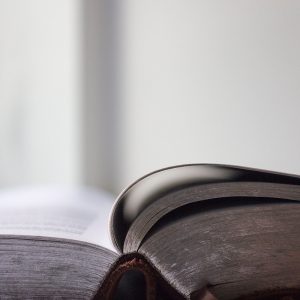 sentenze aggiornate alta istruzione forense